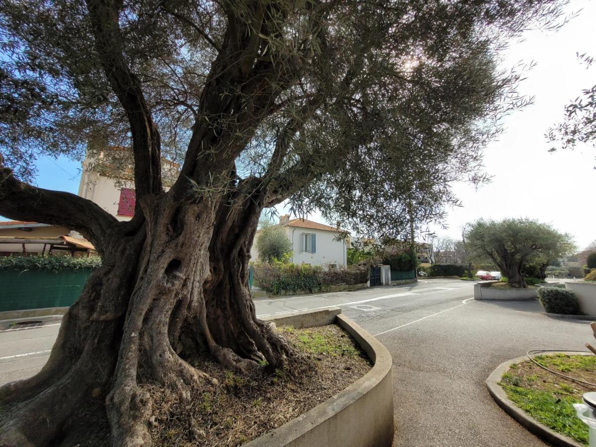 أنتيب Villa La Desiree - Haut De Villa, 68M2, 8 Personnes Max, Climatise, 4 Etoiles, 120M2 De Jardin Et Parking, Wifi, Vu Mer المظهر الخارجي الصورة